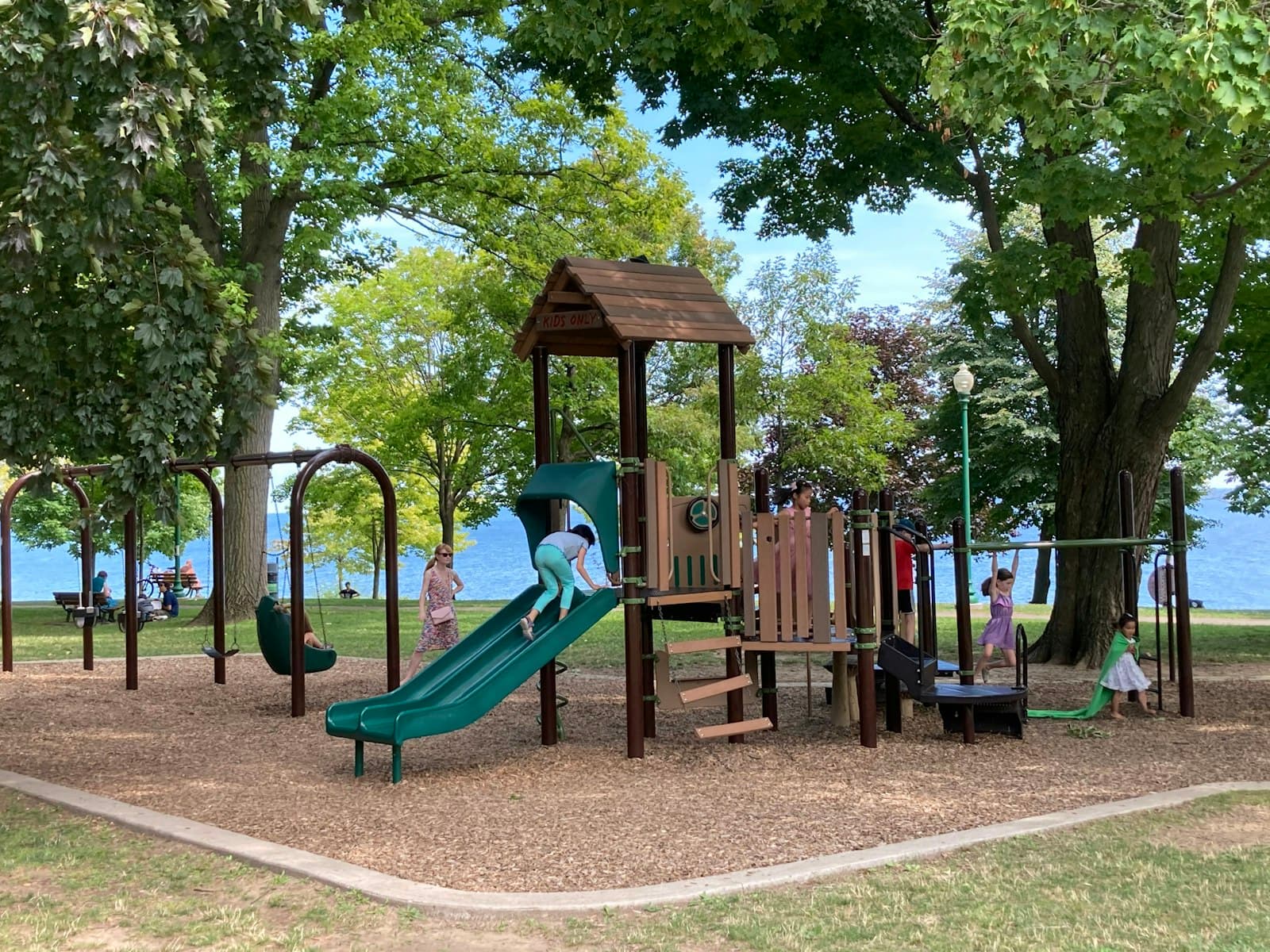 A wooden playground under trees